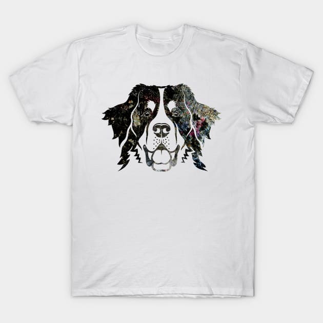 Bernese Mountain Dog Portrait T-Shirt by tomrothster